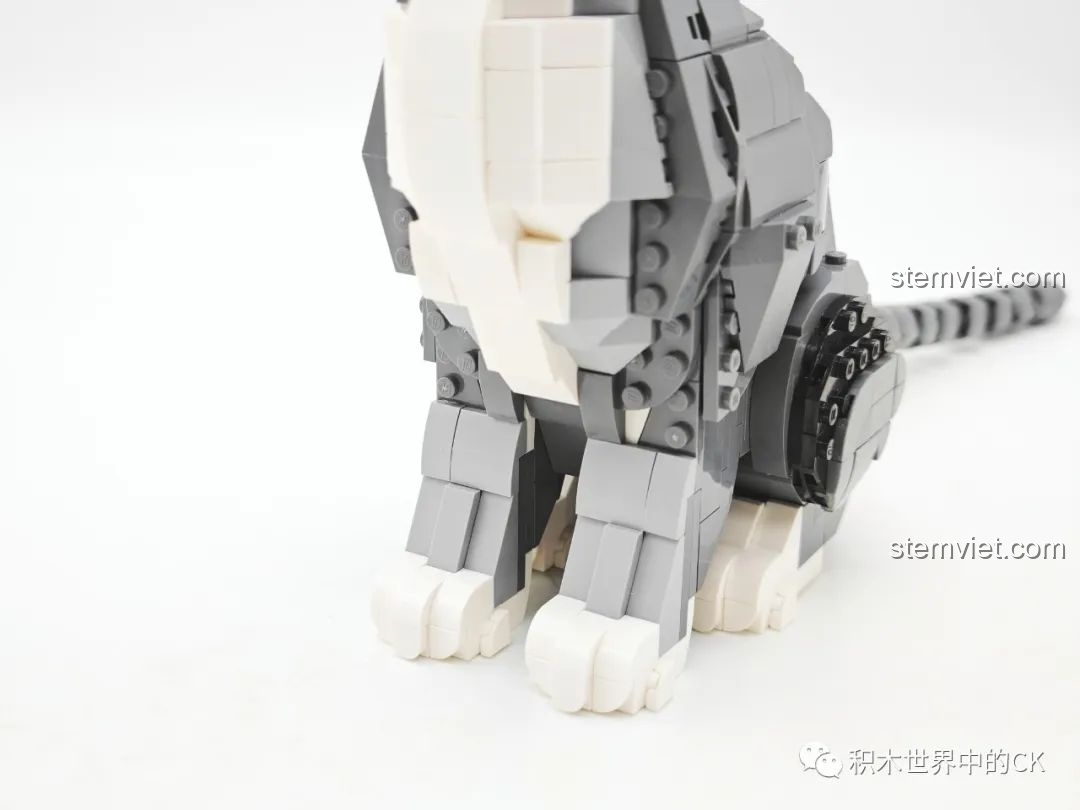 Cận cảnh phần chân trước của mô hình mèo ZHEGAO DZ6118, với chi tiết 'tất trắng' đặc trưng và đáng yêu.