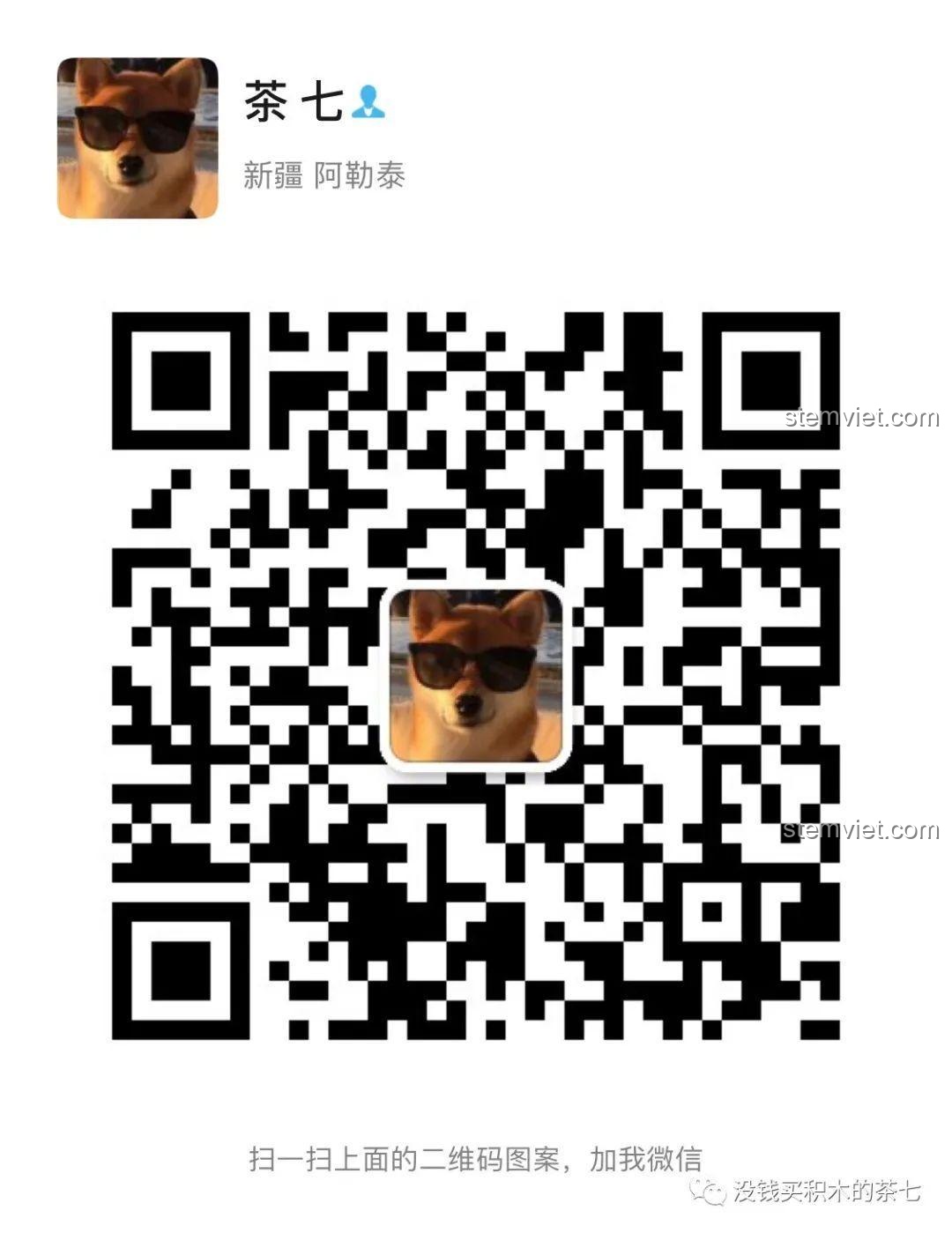 Tám mô hình xe đua từ hai thế hệ của Anh Em Nhà Tốc Độ được trưng bày cùng nhau.