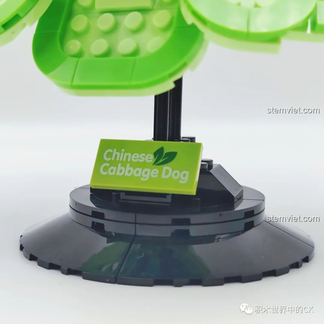 Cận cảnh phần đế trưng bày và bảng tên 'Chinese Cabbage Dog' của bộ lắp ráp Mr.Kuriosity 12601.