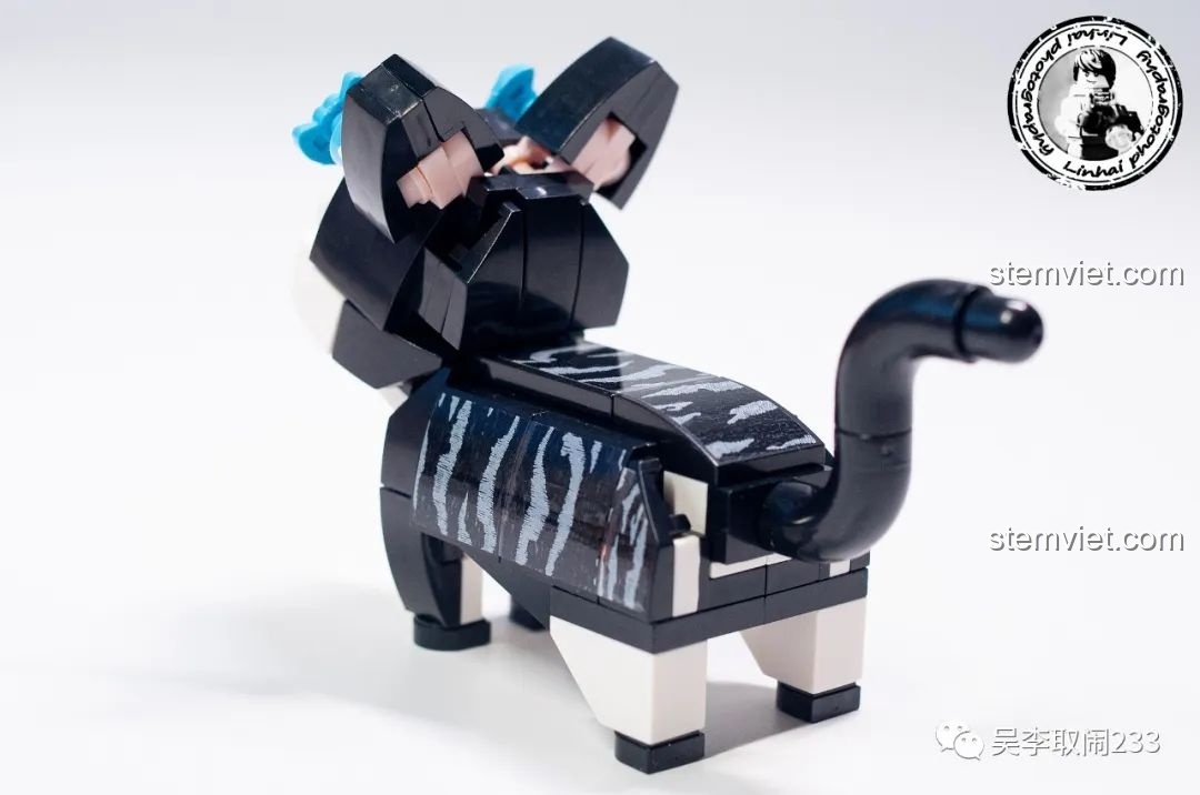 Ba mô hình lắp ráp chó cưng Forange Block FC8283 tạo dáng trên nền cỏ xanh, khung cảnh đáng yêu.