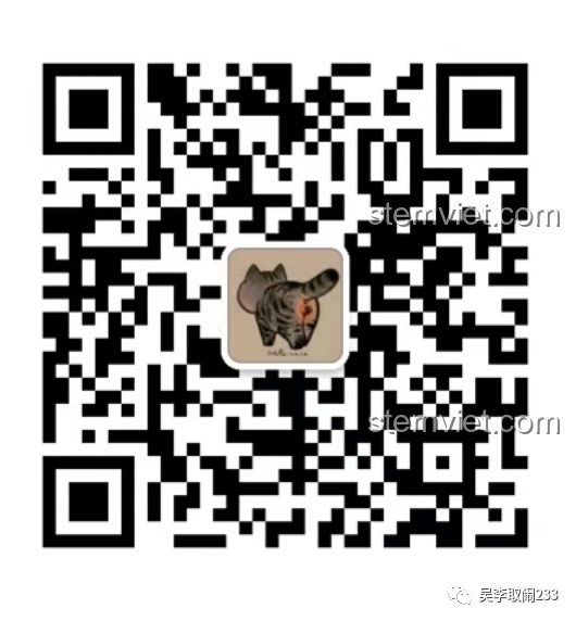 Ba mô hình lắp ráp chó cưng Forange Block FC8283 tạo dáng trên nền cỏ xanh, khung cảnh đáng yêu.