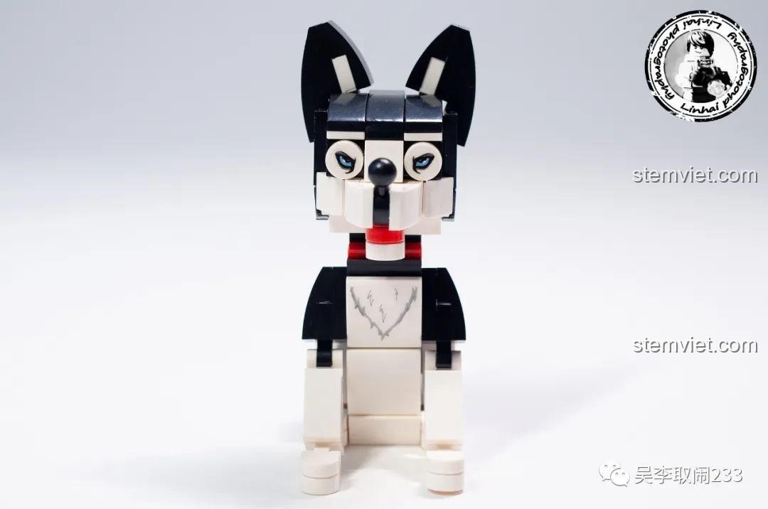 Sáu mô hình lắp ráp chó cưng Forange Block FC8283 gồm Corgi, Beagle, Dachshund, Shar Pei, Husky, Schnauzer đứng cạnh nhau.