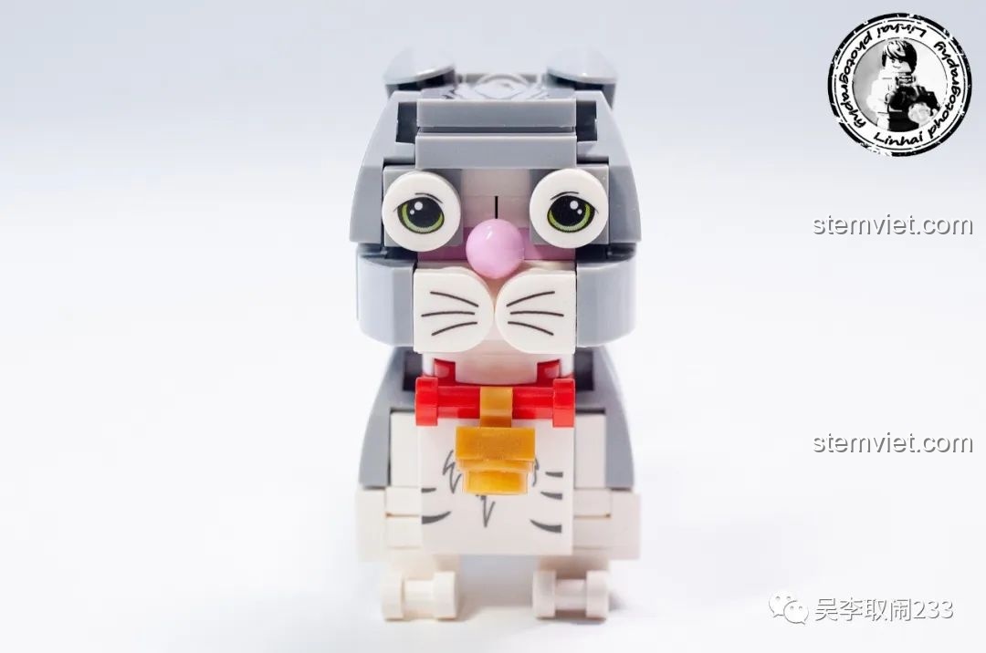 Sáu mô hình lắp ráp mèo cưng Forange Block FC8283 gồm Mèo Sphynx, Mèo Xiêm, Mèo Vàng, Mèo Tai Cụp, Mèo Anh Lông Ngắn Xanh, Mèo Mỹ Lông Ngắn Vằn đứng cạnh nhau.