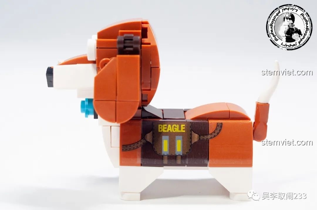 Mô hình lắp ráp Beagle Forange Block FC8283-2 nhìn từ bên hông, nổi bật chi tiết in hình dây dắt trên thân.