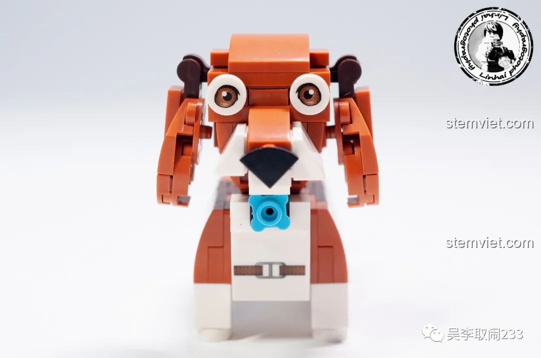 Mô hình lắp ráp Beagle Forange Block FC8283-2 nhìn thẳng mặt, với đôi mắt to tròn và biểu cảm ngây thơ.