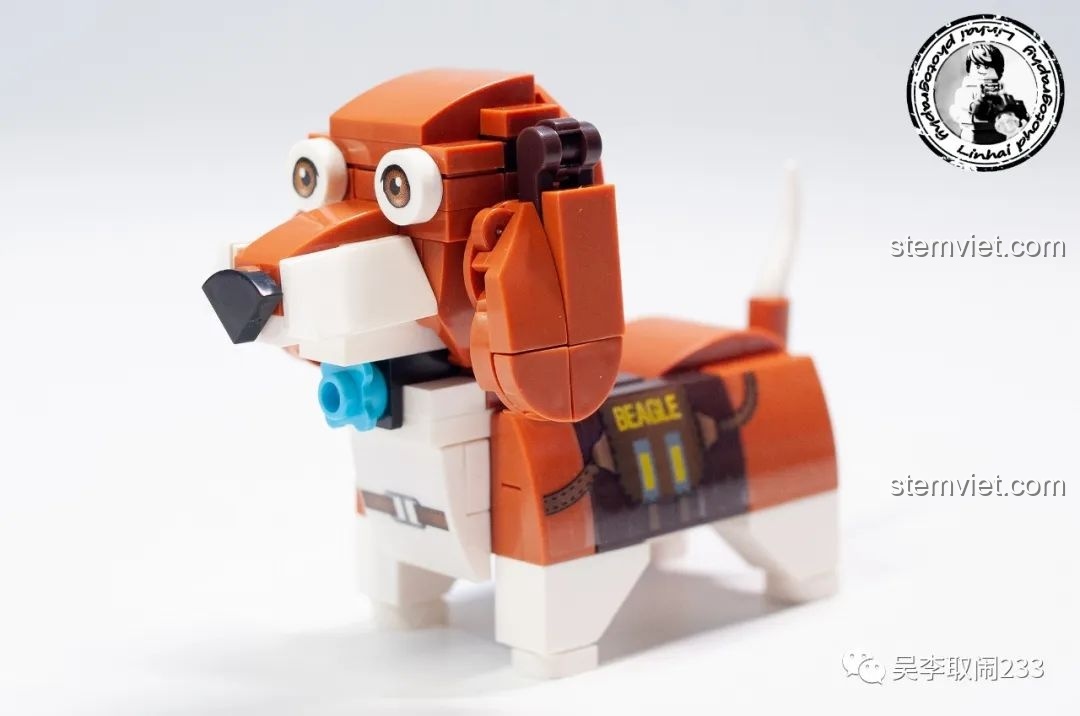 Mô hình lắp ráp Beagle Forange Block FC8283-2 nhìn từ góc nghiêng, thể hiện chi tiết đôi tai cụp và dáng đứng.