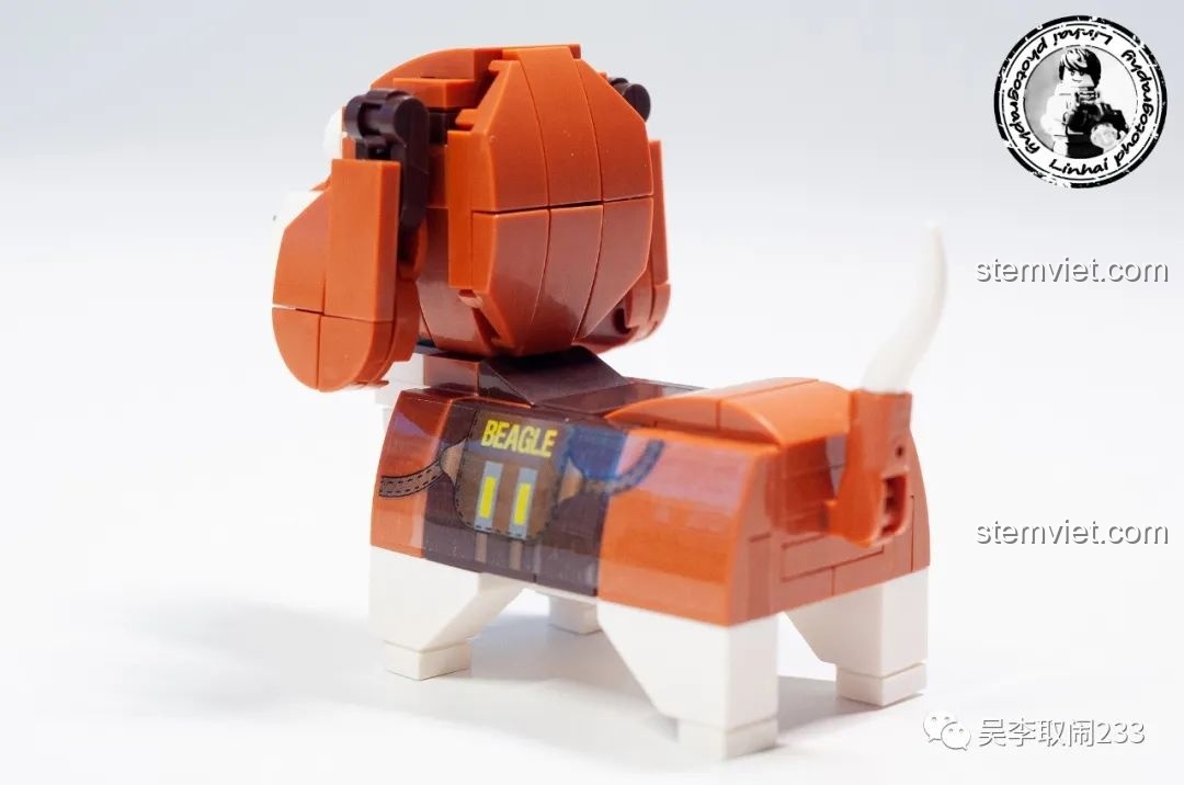Mô hình lắp ráp Beagle Forange Block FC8283-2 nhìn từ phía sau, thể hiện chi tiết đuôi và dáng ngồi.