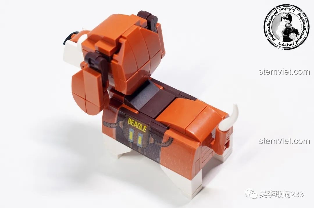 Mô hình lắp ráp Beagle Forange Block FC8283-2 nhìn từ trên cao, thể hiện tổng thể thiết kế.