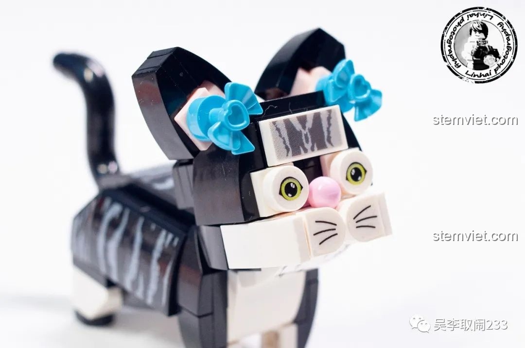 Sáu mô hình lắp ráp chó cưng Forange Block FC8283 tạo dáng trên nền cỏ xanh, khung cảnh đáng yêu.