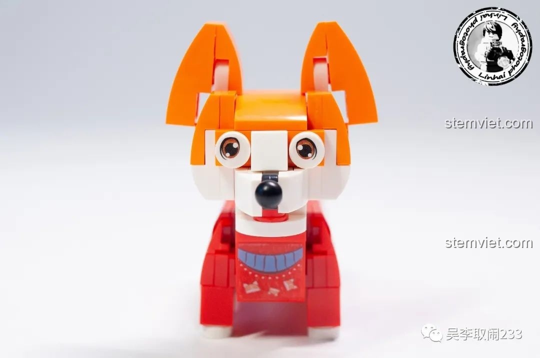 Mô hình lắp ráp Corgi Forange Block FC8283-1 nhìn thẳng mặt, với đôi mắt to tròn và biểu cảm đáng yêu.