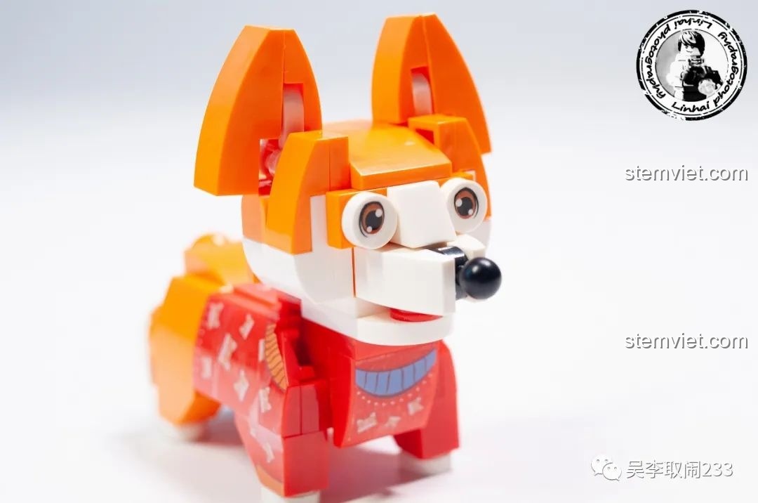 Mô hình lắp ráp Corgi Forange Block FC8283-1 nhìn nghiêng cận cảnh khuôn mặt, chi tiết mắt và mũi.