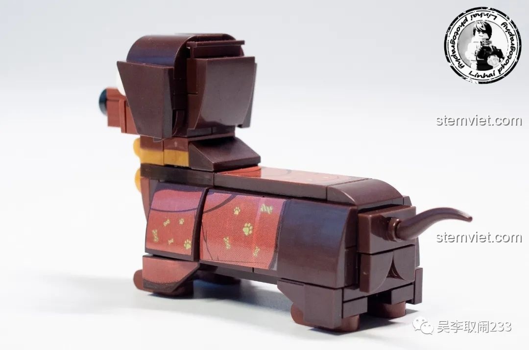 Mô hình lắp ráp Chó Dachshund Forange Block FC8283-3 nhìn thẳng mặt, với đôi mắt to tròn và biểu cảm ngây thơ.