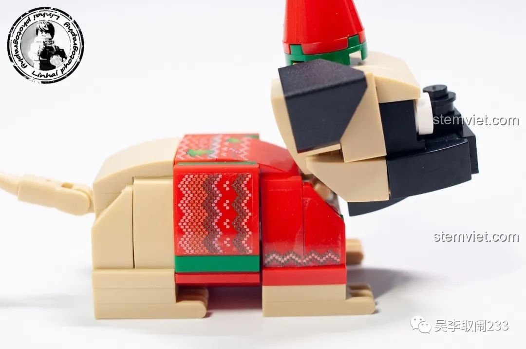 Mô hình lắp ráp Husky Forange Block FC8283-5 nhìn thẳng mặt, với đôi mắt xanh biếc và biểu cảm đặc trưng.