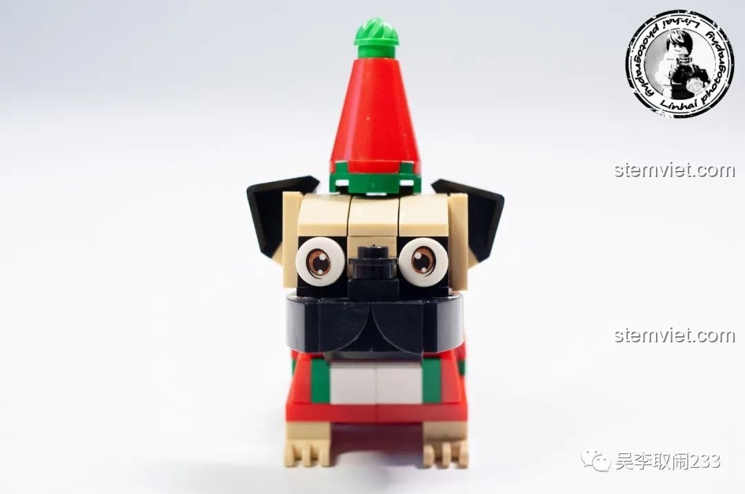 Mô hình lắp ráp Husky Forange Block FC8283-5 nhìn từ phía sau, thể hiện chi tiết đuôi và dáng ngồi.