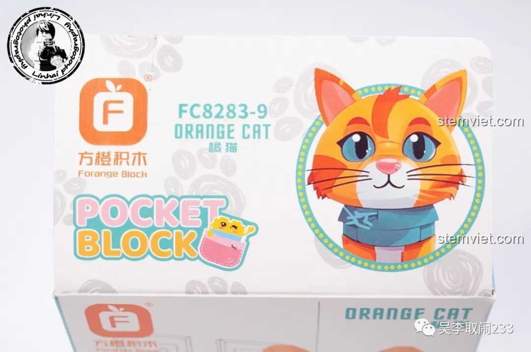 Hộp đồ chơi lắp ráp Mèo Anh Lông Ngắn Xanh Forange Block FC8283-11, một trong 12 mẫu thú cưng đáng yêu.