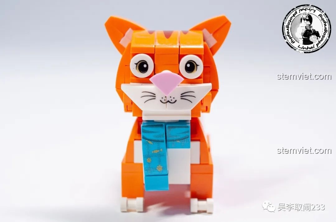 Mô hình lắp ráp Mèo Anh Lông Ngắn Xanh Forange Block FC8283-11 nhìn thẳng mặt, với đôi mắt to tròn và biểu cảm ngây thơ.