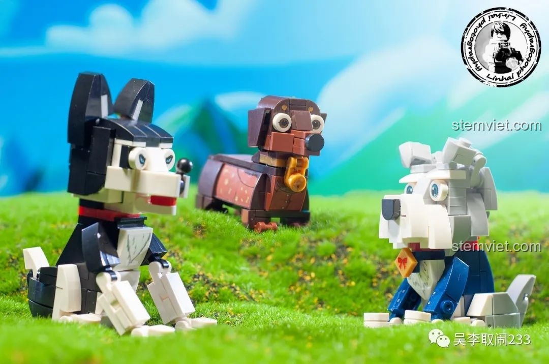 Sáu mô hình lắp ráp mèo cưng Forange Block FC8283 tạo dáng trên nền cỏ xanh, khung cảnh đáng yêu.