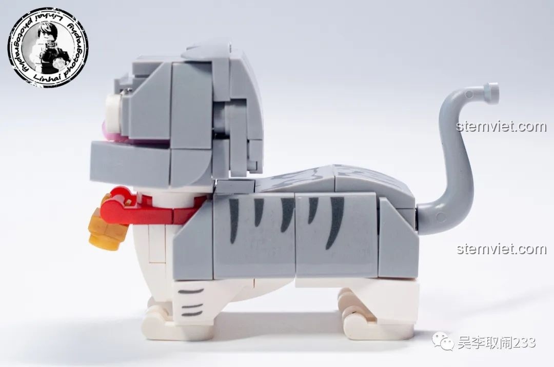 Mô hình lắp ráp Mèo Mỹ Lông Ngắn Vằn Forange Block FC8283-12 nhìn thẳng mặt, với đôi mắt to tròn và biểu cảm ngây thơ.