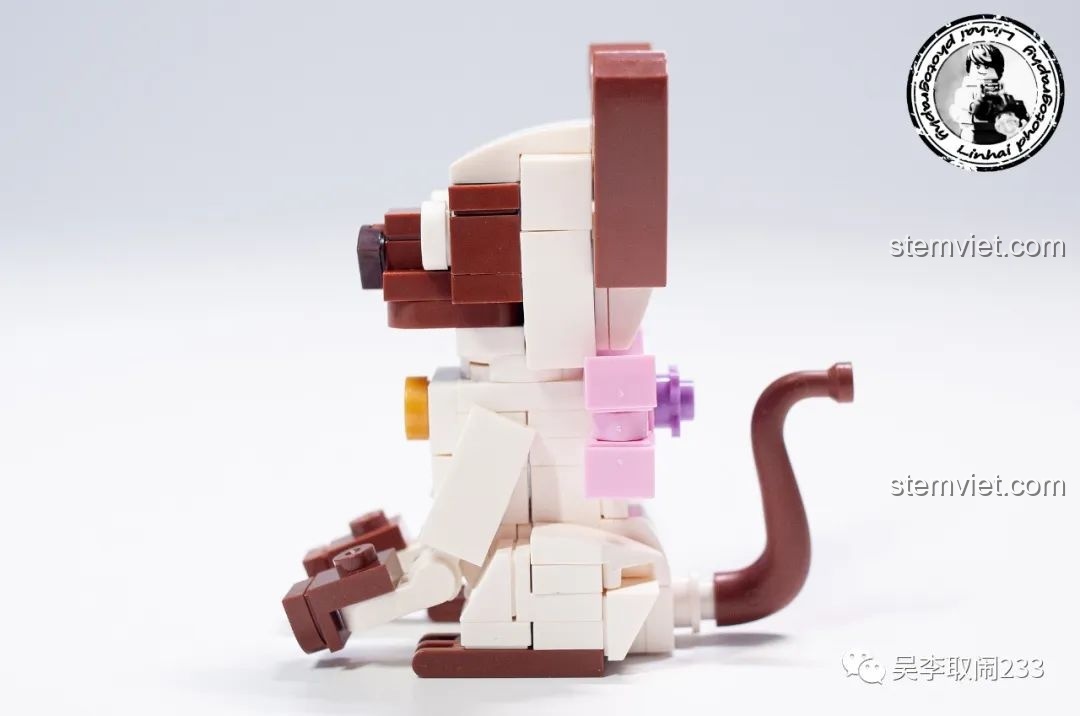 Mô hình lắp ráp Mèo Tai Cụp Forange Block FC8283-10 màu xám trắng, có phụ kiện bảng cào móng.