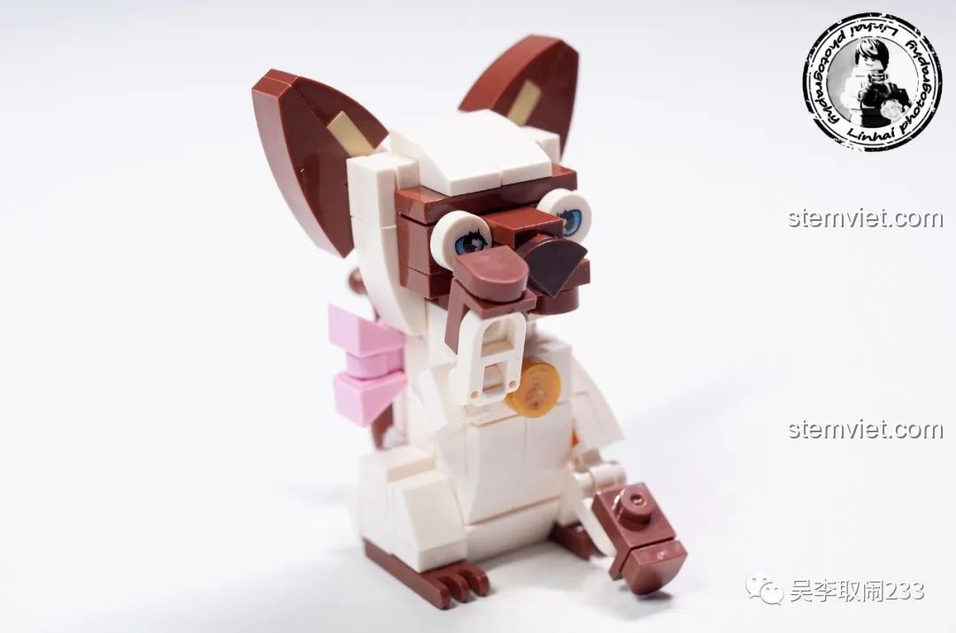 Mô hình lắp ráp Mèo Tai Cụp Forange Block FC8283-10 nhìn thẳng mặt, với đôi mắt to tròn và biểu cảm ngây thơ.