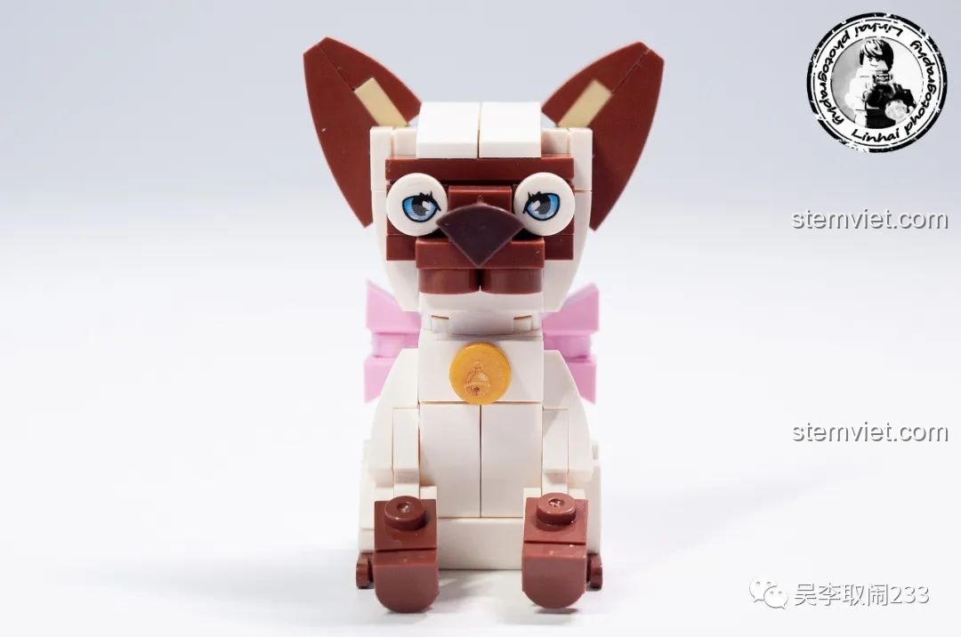 Mô hình lắp ráp Mèo Tai Cụp Forange Block FC8283-10 nhìn từ phía sau, thể hiện thân hình mũm mĩm và chi tiết đuôi.