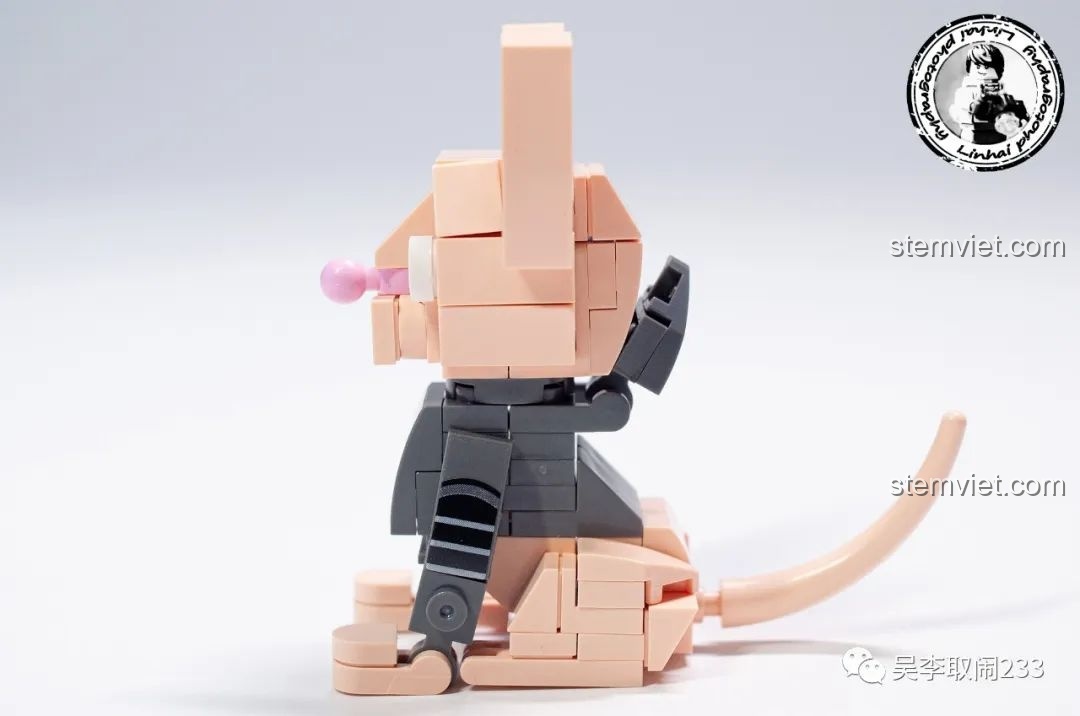 Hộp đồ chơi lắp ráp Mèo Vàng Forange Block FC8283-9, một trong 12 mẫu thú cưng đáng yêu.