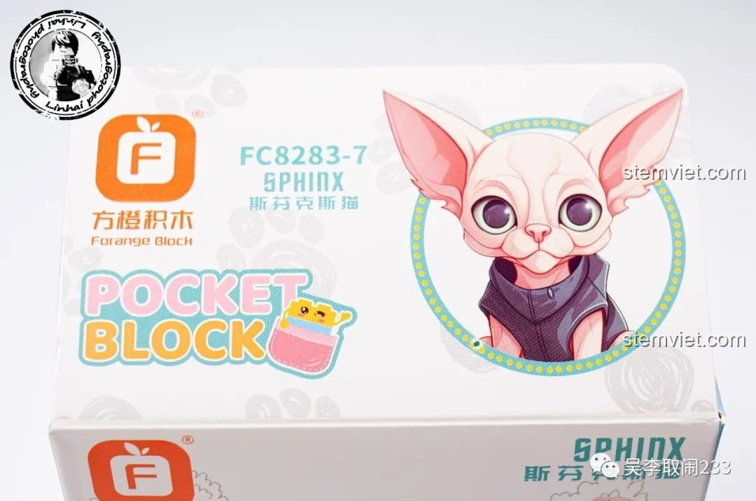 Mô hình lắp ráp Mèo Xiêm Forange Block FC8283-8 nhìn thẳng mặt, với đôi mắt xanh biếc và biểu cảm ngây thơ.