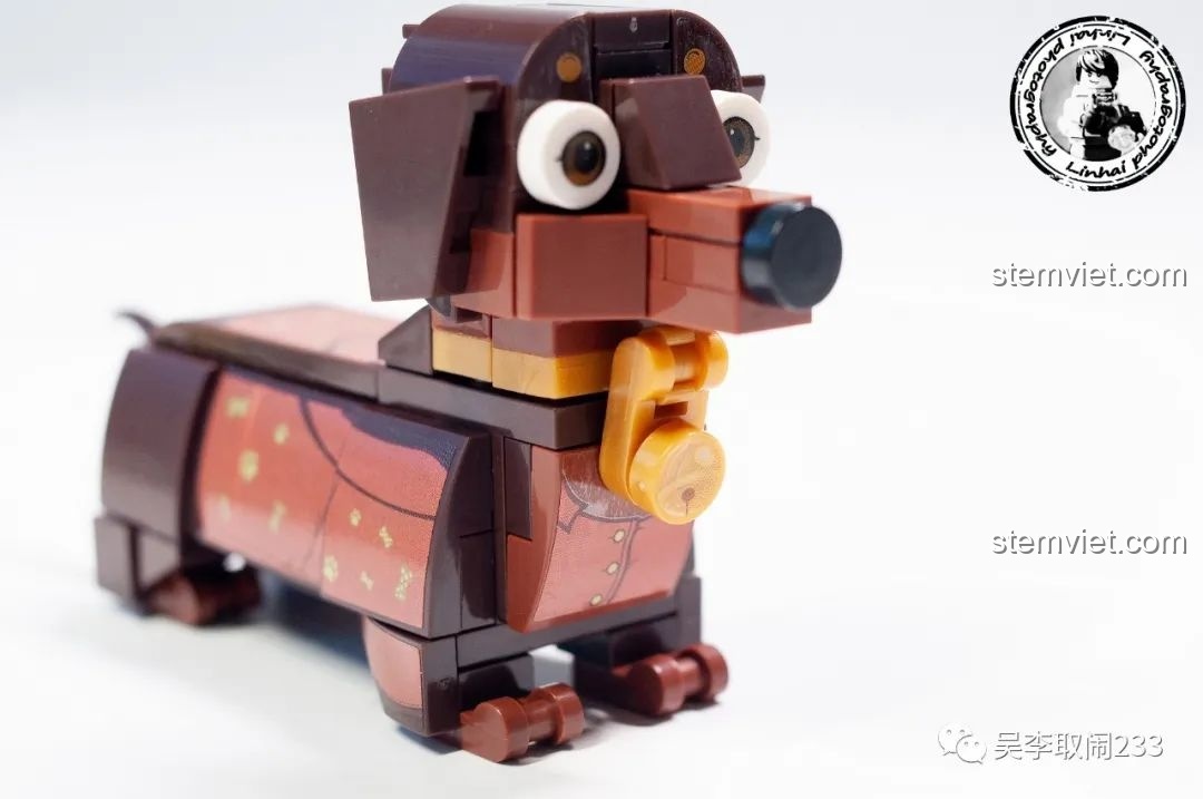 Mô hình lắp ráp Chó Shar Pei Forange Block FC8283-4 mặc đồ Giáng Sinh, có mũ và phụ kiện xương lớn.