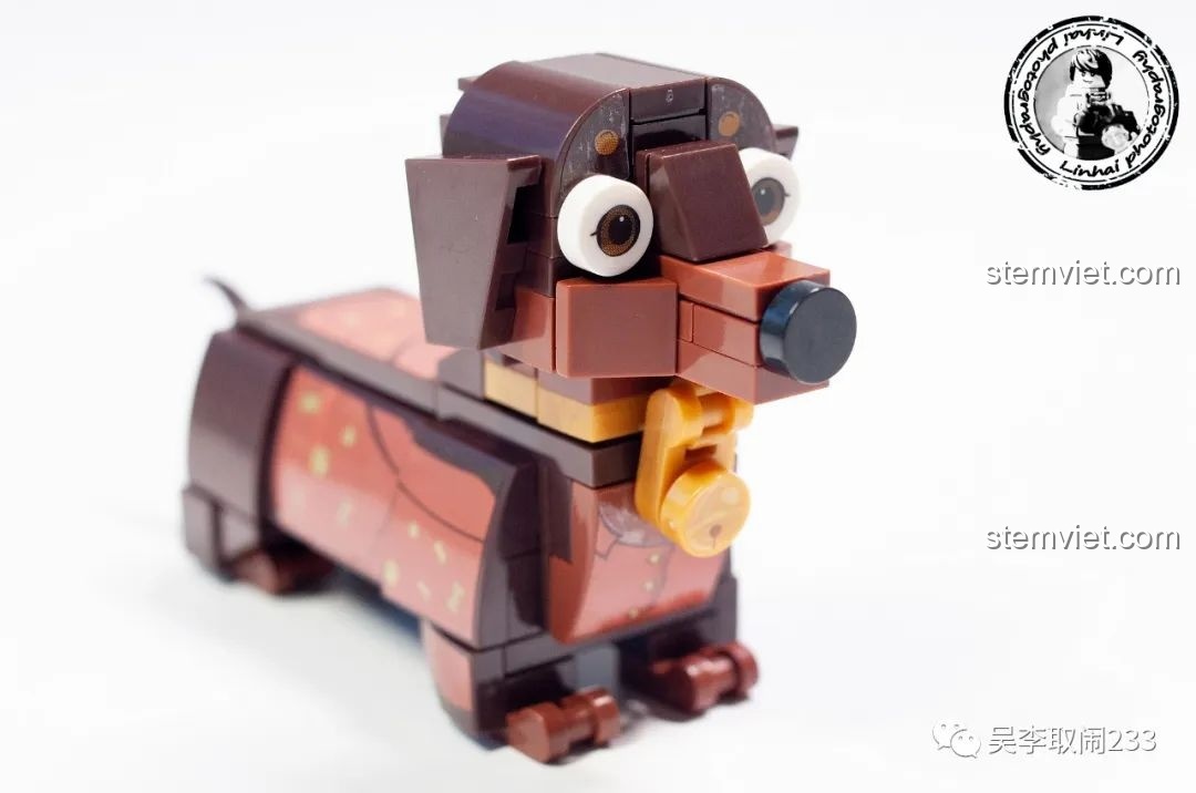 Hộp đồ chơi lắp ráp Chó Shar Pei Forange Block FC8283-4, một trong 12 mẫu thú cưng đáng yêu.