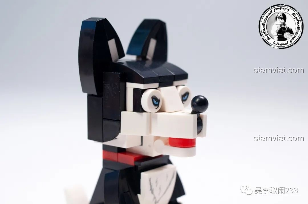 Hộp đồ chơi lắp ráp Mèo Sphynx Forange Block FC8283-7, một trong 12 mẫu thú cưng đáng yêu.