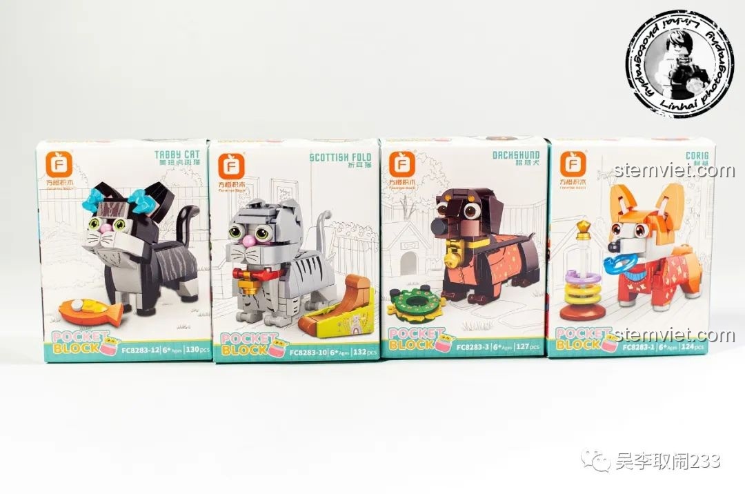 Bốn hộp nhỏ đầu tiên của bộ lắp ráp Forange Block FC8283 gồm Mèo Mỹ Lông Ngắn Vằn, Mèo Tai Cụp, Chó Dachshund và Corgi.