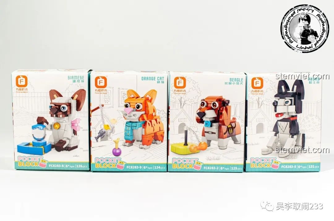 Bốn hộp nhỏ tiếp theo của bộ lắp ráp Forange Block FC8283 gồm Mèo Xiêm, Mèo Vàng, Beagle và Husky.