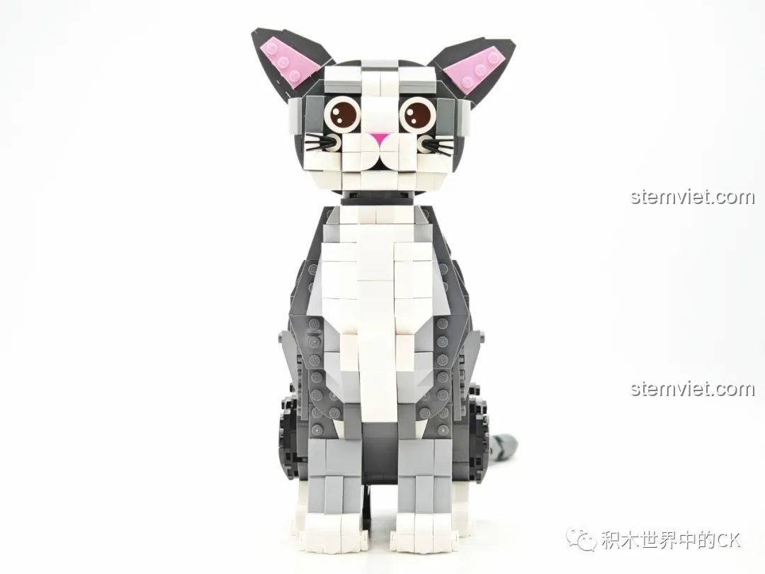 Góc chụp chính diện Tượng mèo xám để bàn DZ6118, khoe trọn vẻ đáng yêu với đôi mắt to tròn và bộ lông tuxedo.