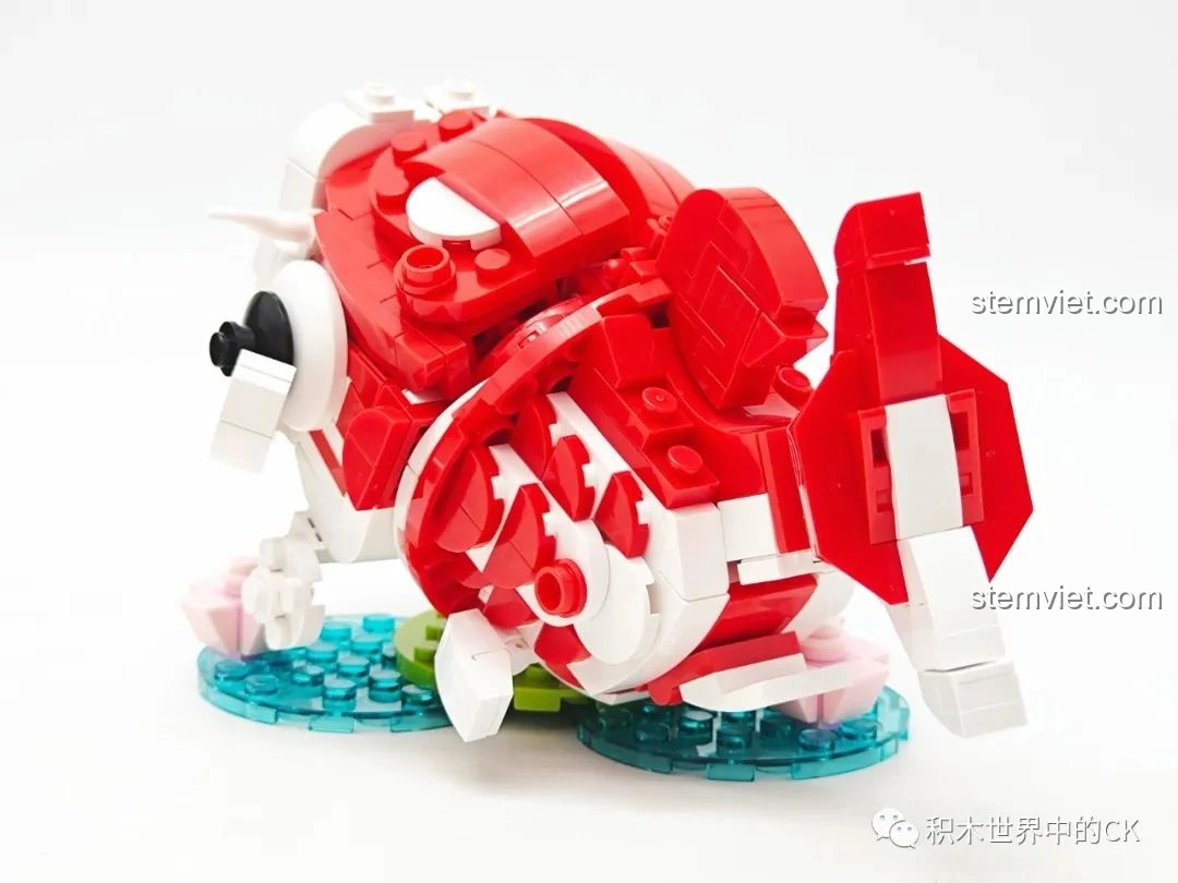 Mô hình Lucky Koi (Cá Chép May Mắn) đã hoàn thiện, nhìn từ phía sau.