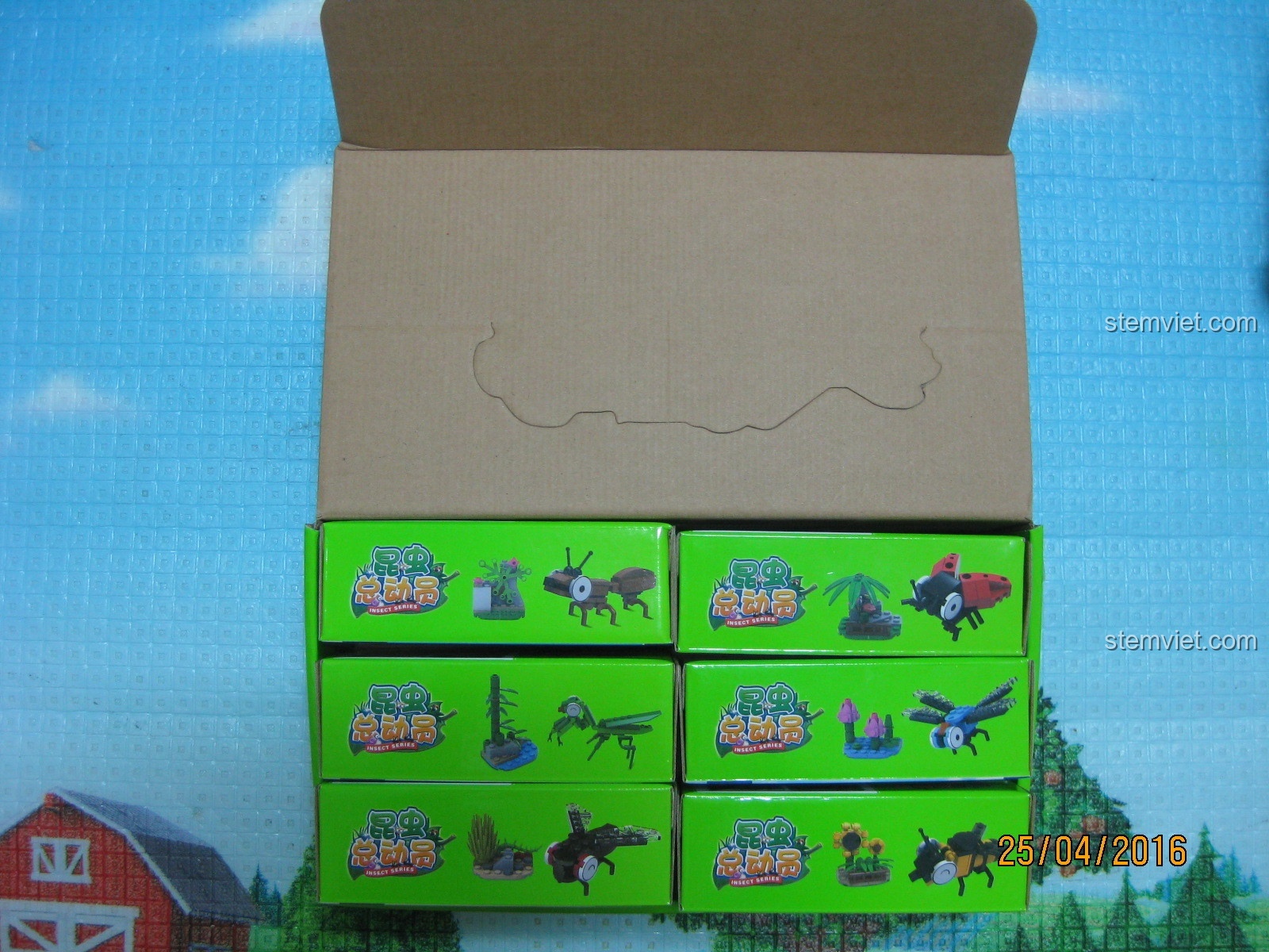 Bên trong hộp lớn KAZI KY80021 là 6 hộp nhỏ, mỗi hộp một mô hình côn trùng.