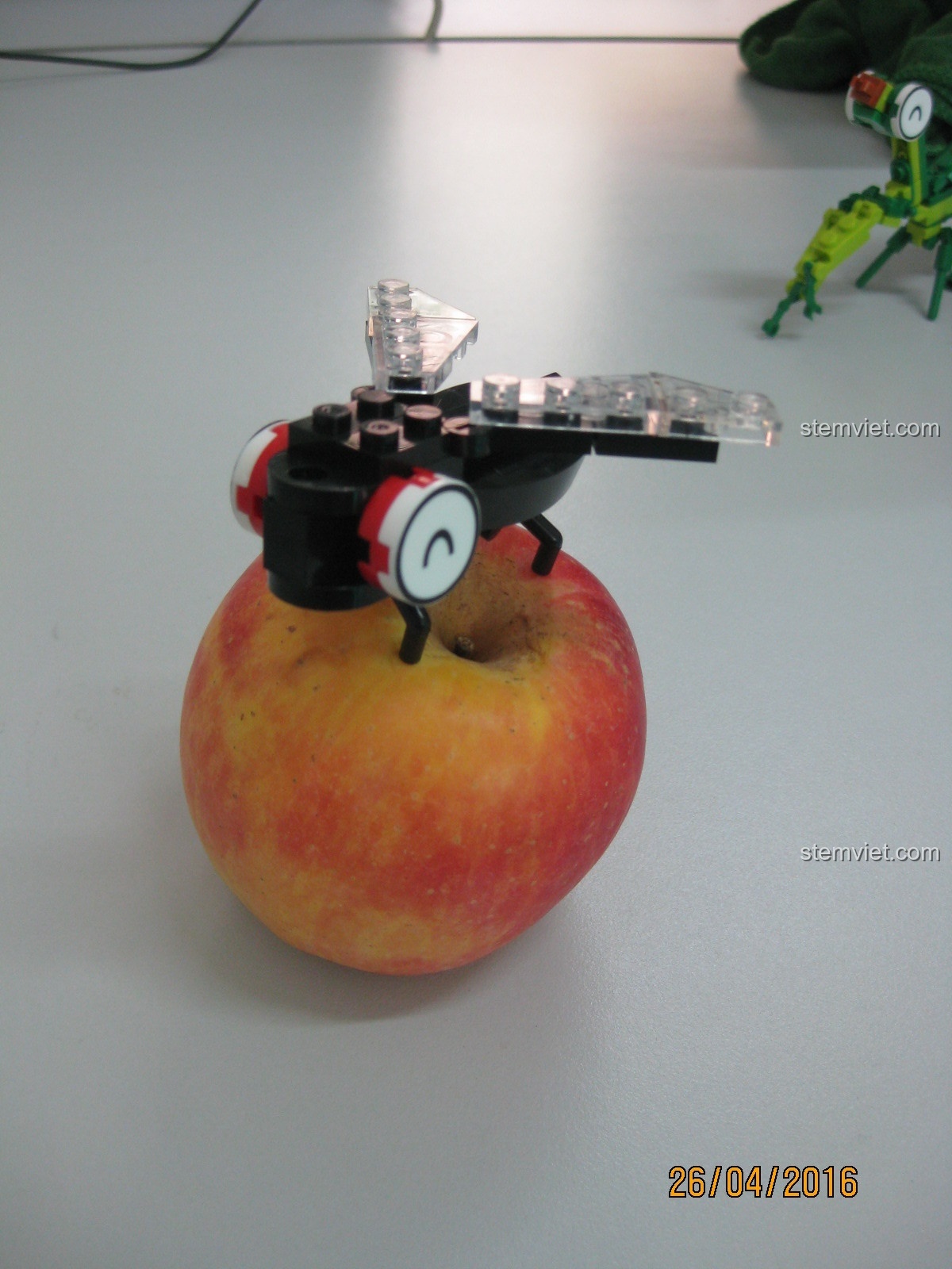 So sánh kích thước mô hình ruồi KAZI với quả táo thật, cho thấy sự nhỏ gọn của bộ lắp ghép 800211.