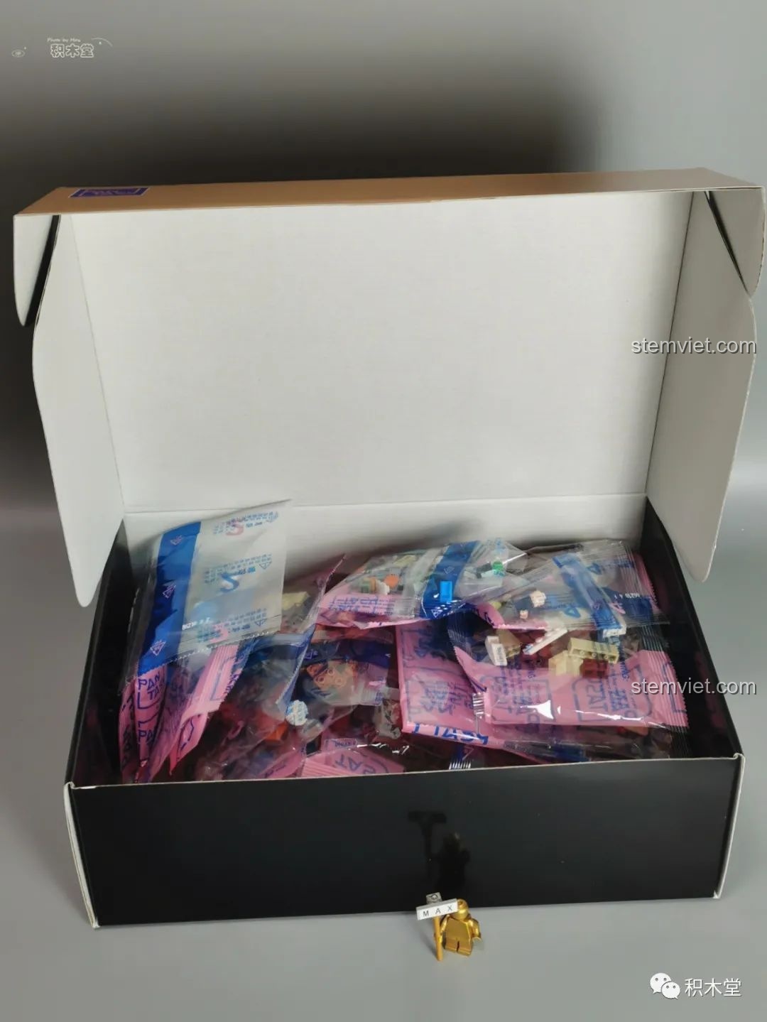 Các túi gạch được phân loại trong hộp bộ lắp ráp Pantasy 86218.