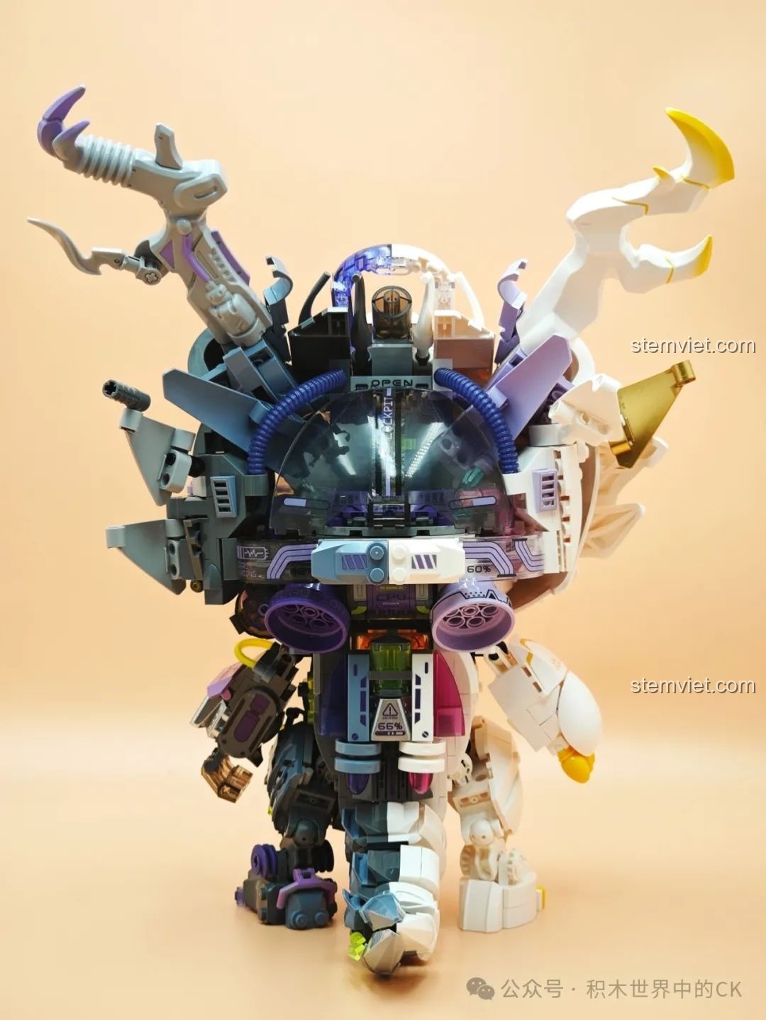 Mô hình Rồng Thời Không TC1814 hoàn chỉnh nhìn từ phía trước, tổng thể cân đối và ấn tượng với hai nửa thiết kế.