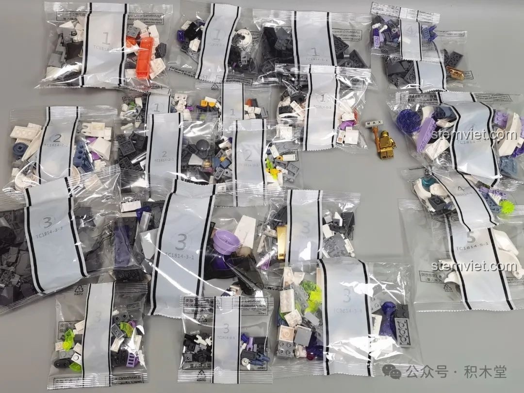 Các túi linh kiện được phân loại của bộ lắp ráp TOP TOY TC1814 Rồng Thời Không, review chất lượng mảnh ghép.