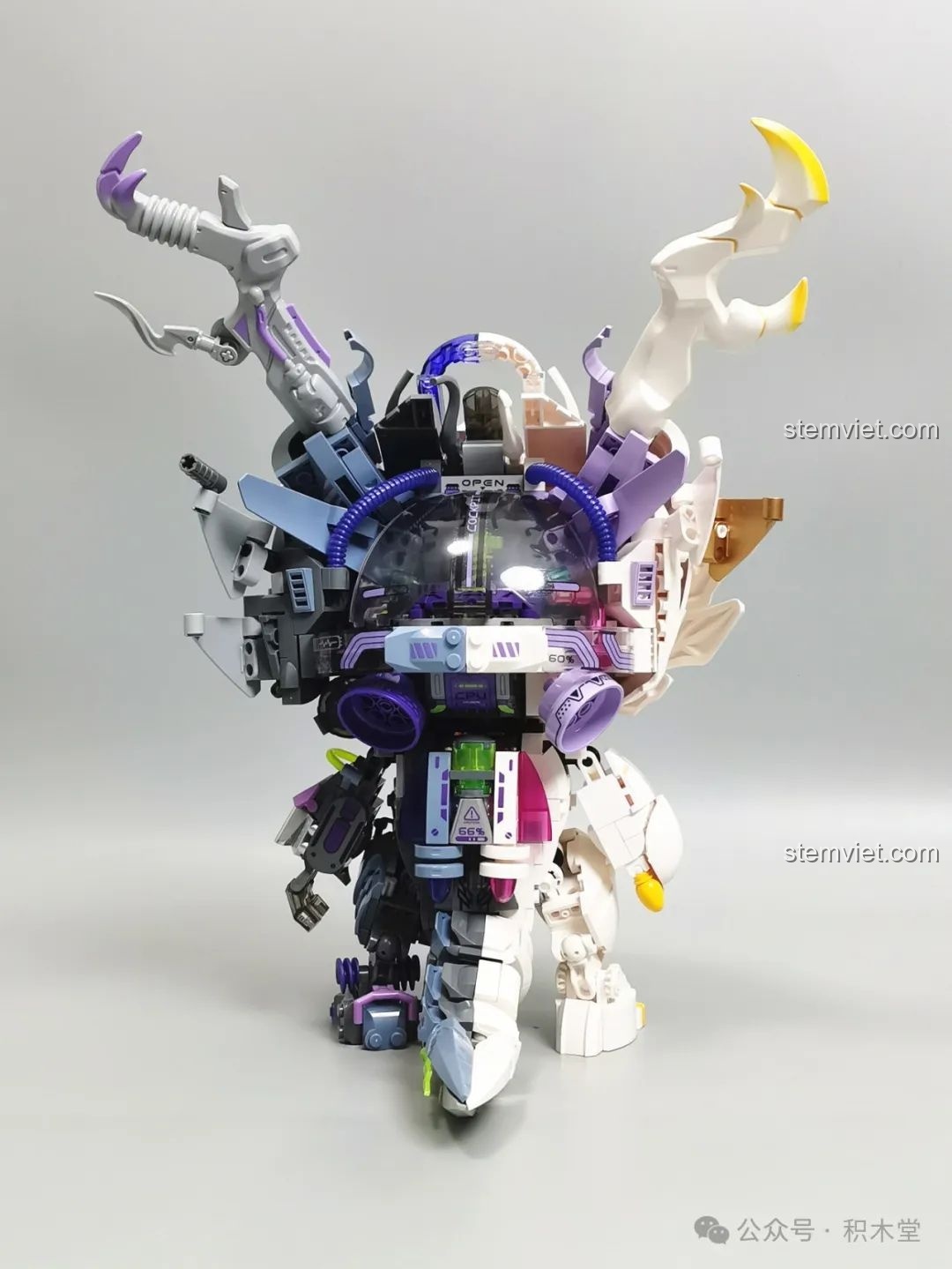 Cận cảnh đôi mắt đáng yêu và má hồng của Rồng Thời Không TC1814, review chi tiết đồ chơi.