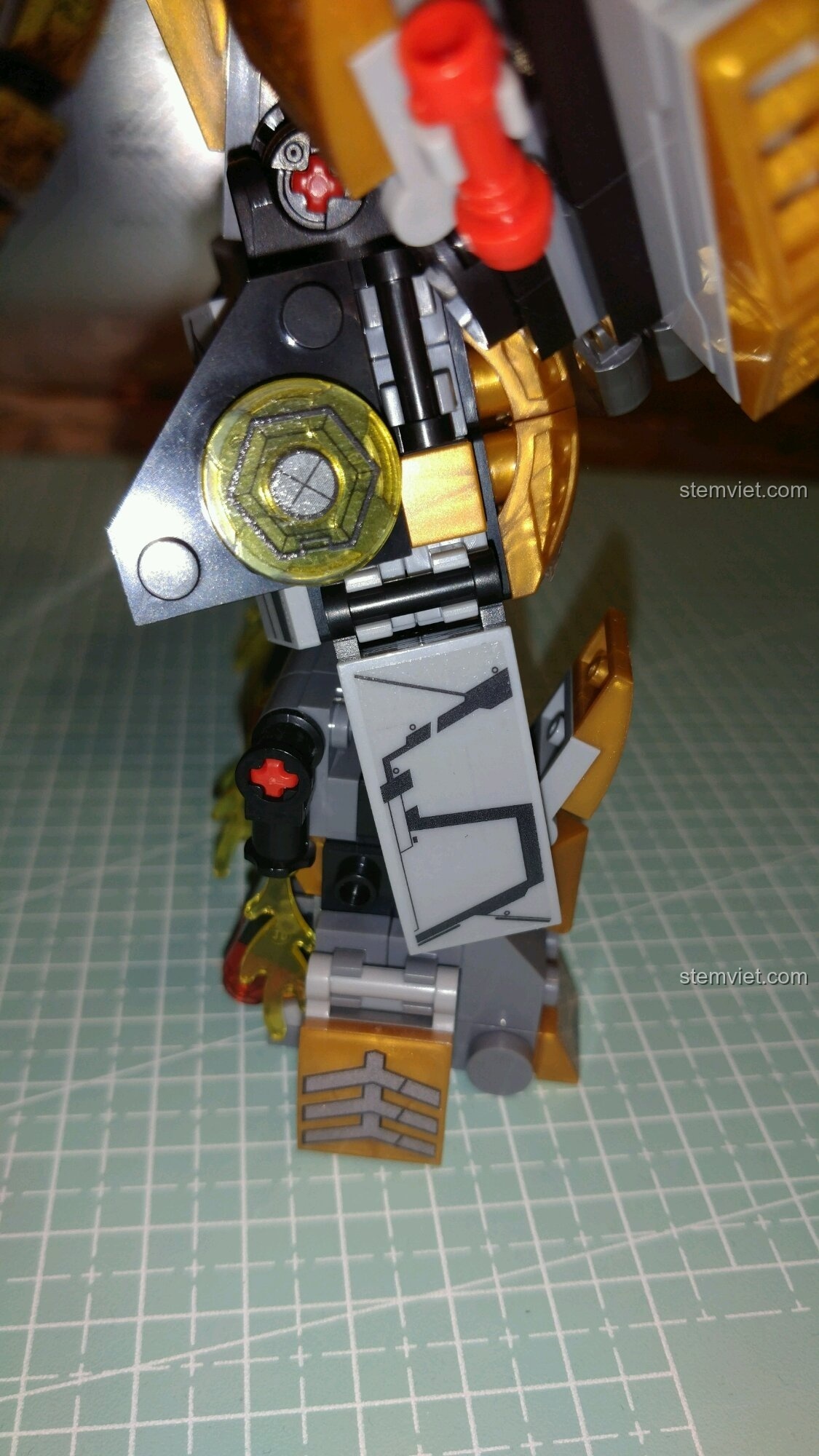 Chi tiết khớp hông và giáp đùi.