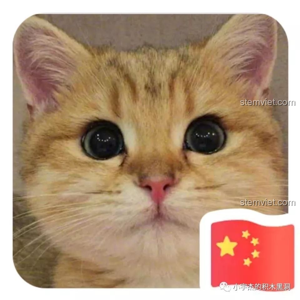 Ảnh đại diện của người đánh giá, một chú mèo vàng đáng yêu, biểu tượng cho sự thân thiện và gần gũi của kênh review đồ chơi lắp ráp.