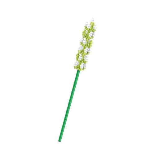 Bộ đồ chơi Cỏ đuôi chồn BALODY 20093