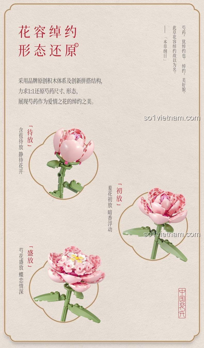 Bộ lắp ráp Hoa Trung Quốc: Mẫu Đơn Tình Yêu 666 mảnh, màu hồng và trắng, quà tặng ý nghĩa cho bé gái 14 tuổi