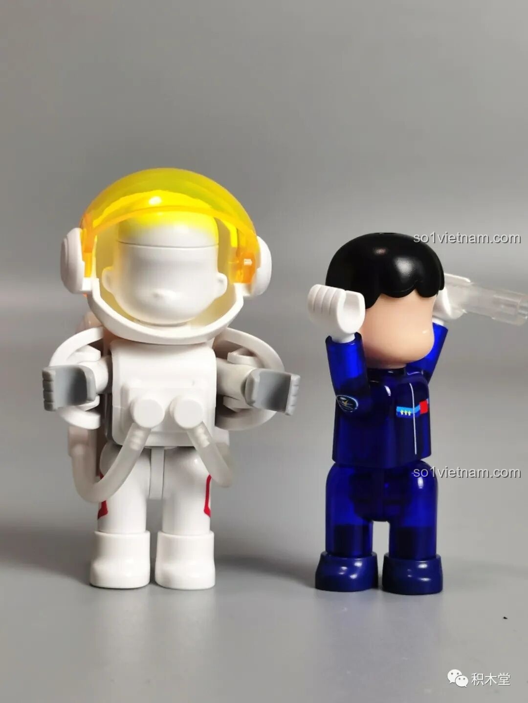 Các module của BLOKEES 81102 được lắp ráp riêng lẻ