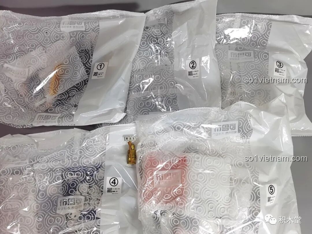 Các túi chi tiết được đóng gói riêng biệt bên trong hộp BLOKEES 81102