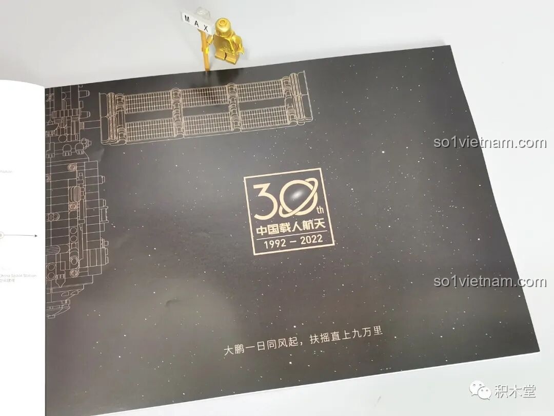 Trang hướng dẫn sử dụng dụng cụ tách mảnh ghép trong sách hướng dẫn BLOKEES 81102