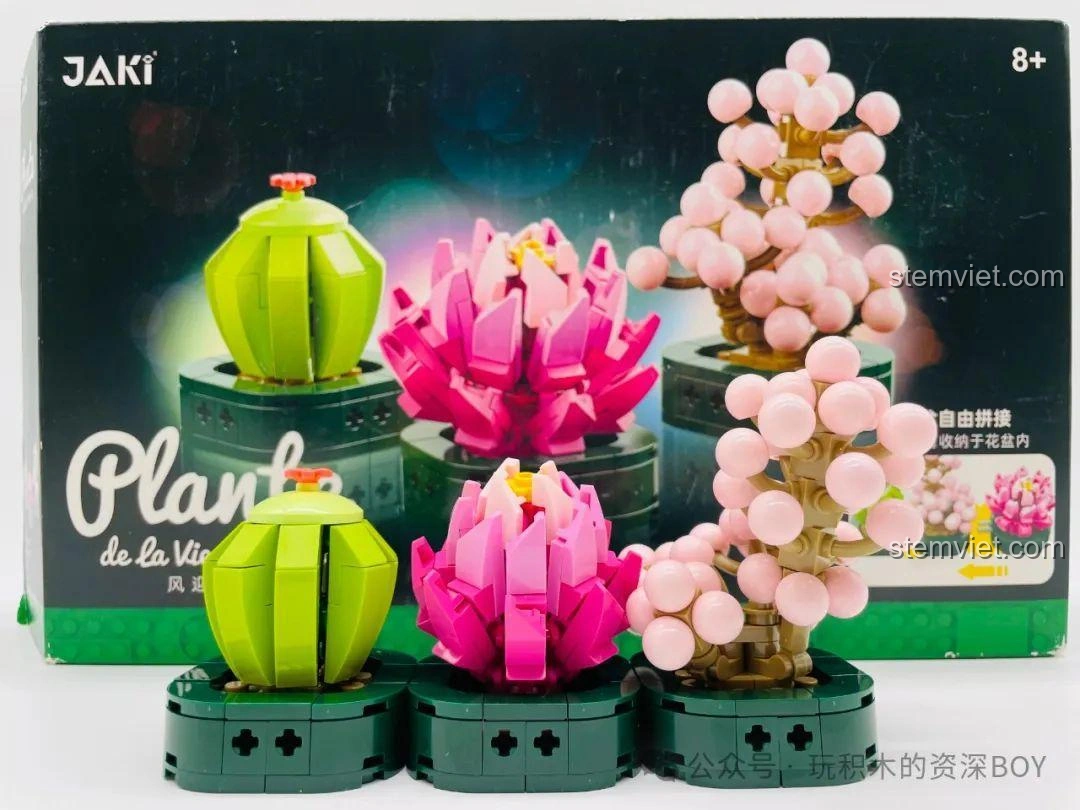 Ba chậu cây mọng nước JAKI JK2727 đã hoàn thành, trưng bày trên nền trắng, góc chụp cận cảnh.