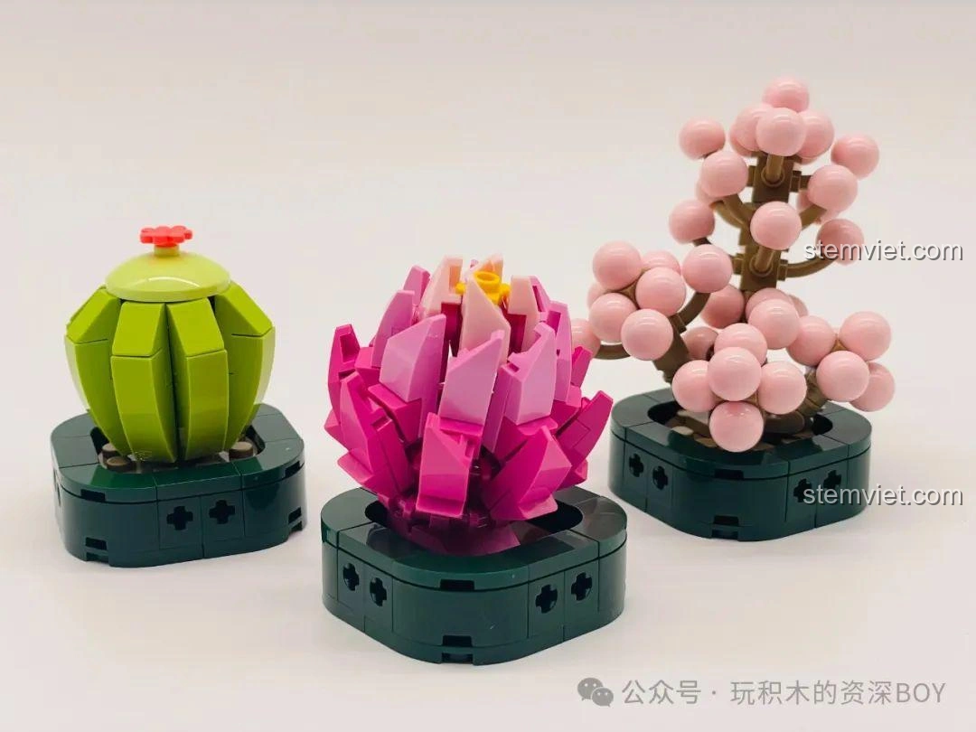 Ba mô hình cây mọng nước JAKI JK2727 đã hoàn thành, trưng bày trên nền trắng, góc chụp cận cảnh.