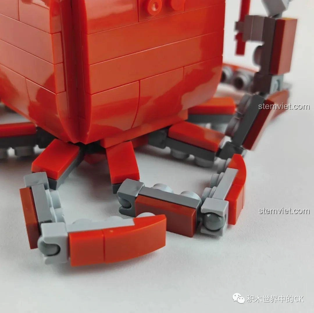 Mặt trước mô hình lắp ráp Zhe Gao Phố Ẩm Thực CW6003 Cửa hàng tôm hùm đất, chi tiết càng và râu.